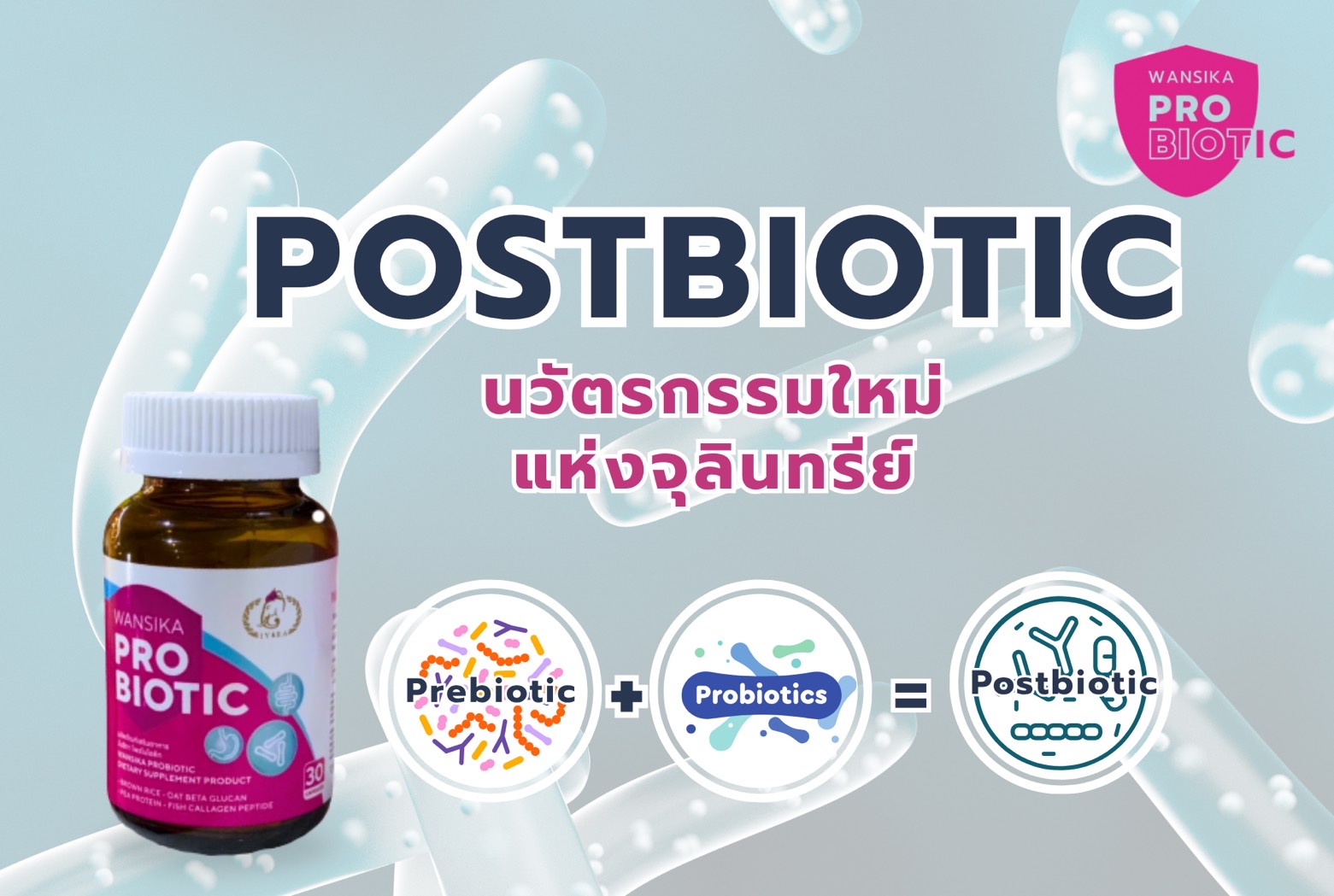 Wansika Probiotic