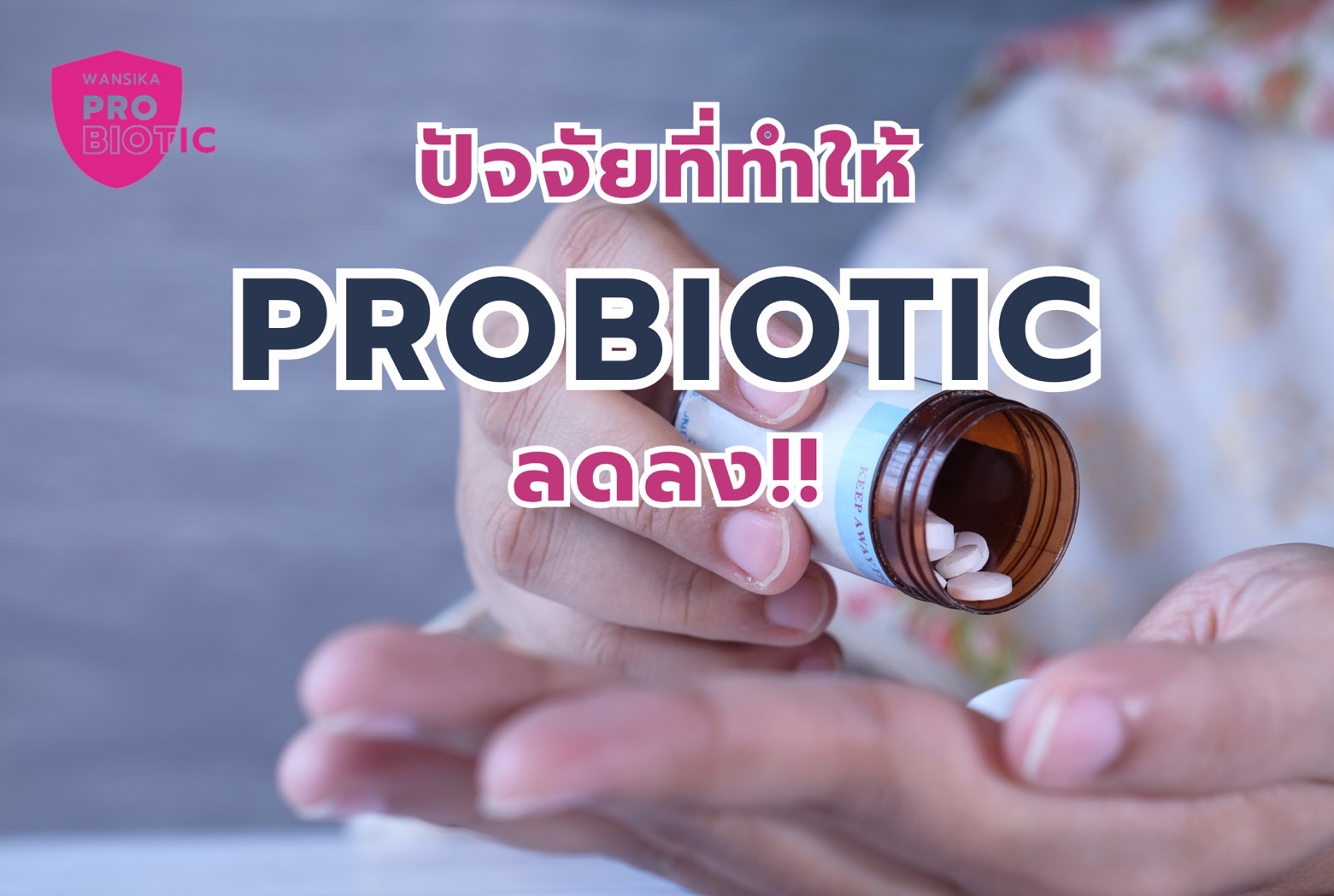 Wansika Probiotic