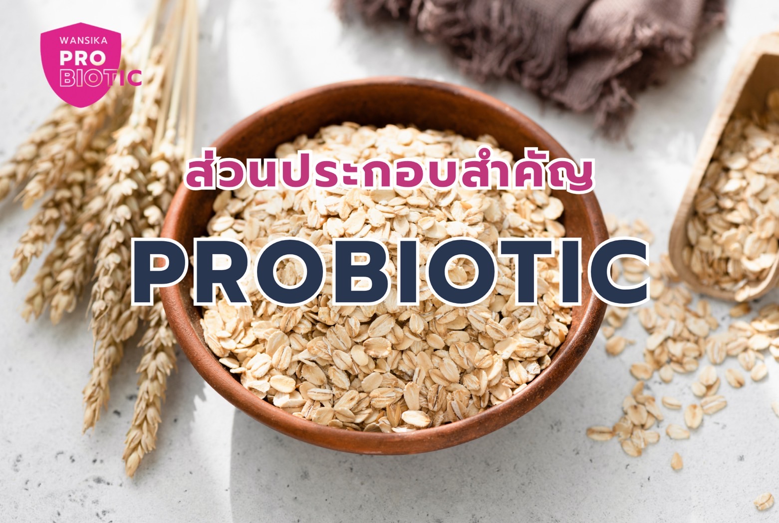 Wansika Probiotic